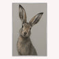 Curious Hare 1 Velvet Canvas Art