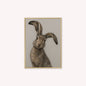 Curious Hare 2 Velvet Canvas Art