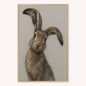 Curious Hare 2 Velvet Canvas Art