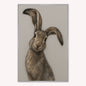 Curious Hare 2 Velvet Canvas Art