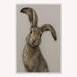 Curious Hare 2 Velvet Canvas Art