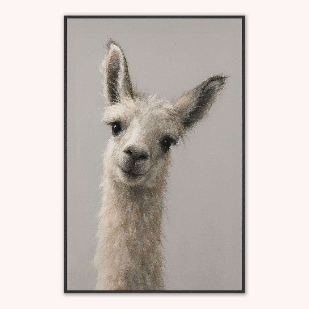 Curious Llama Velvet Canvas Art
