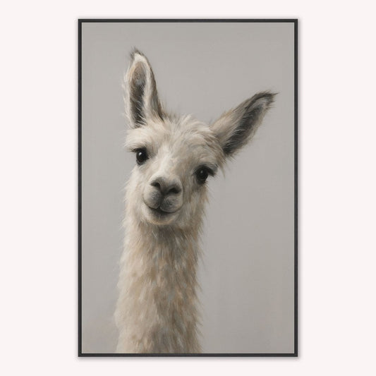 Curious Llama Velvet Canvas Art