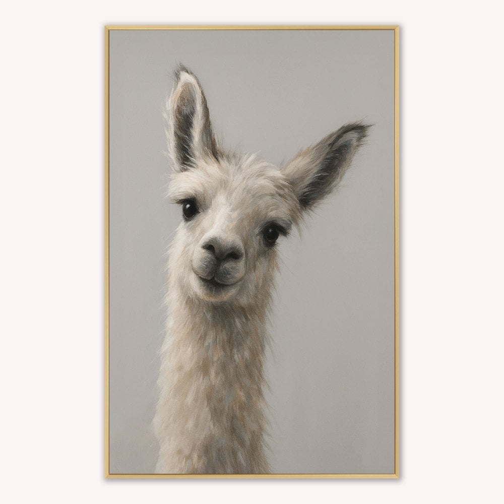 Curious Llama Velvet Canvas Art