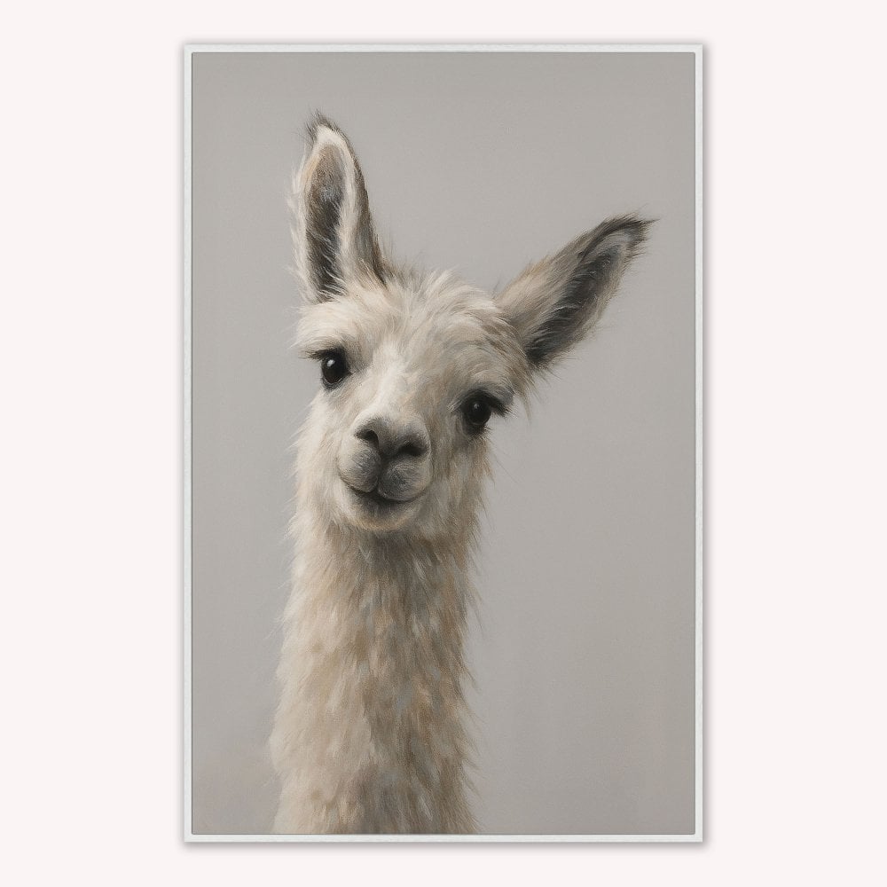 Curious Llama Velvet Canvas Art