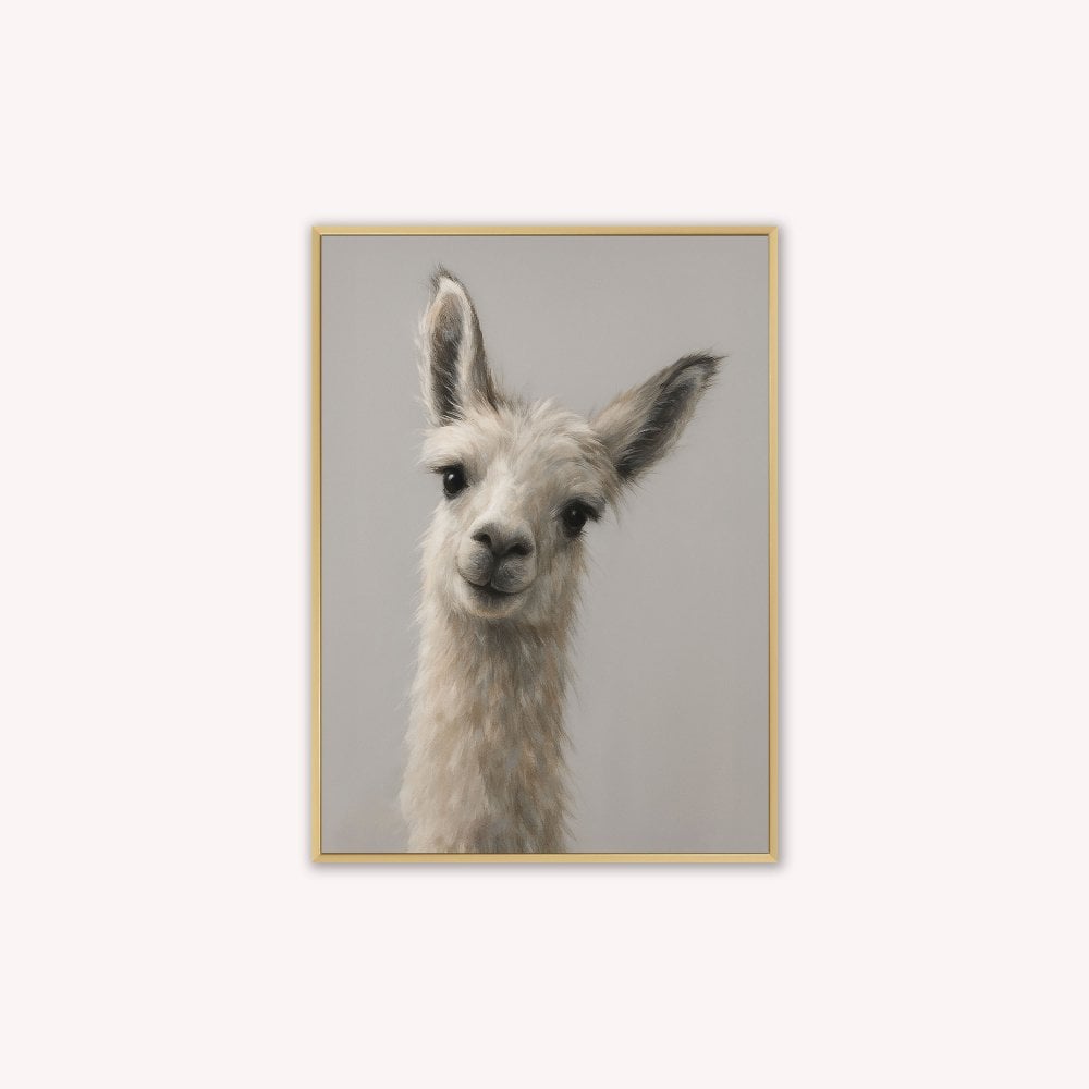 Curious Llama Velvet Canvas Art