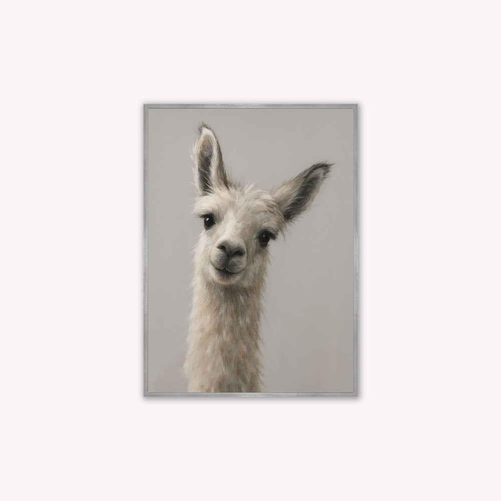 Curious Llama Velvet Canvas Art