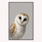 Curious Owl Velvet Canvas Art