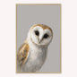Curious Owl Velvet Canvas Art