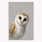 Curious Owl Velvet Canvas Art