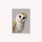 Curious Owl Velvet Canvas Art