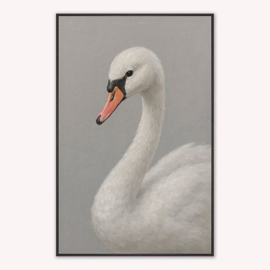 Curious White Swan Velvet Canvas Art