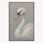 Curious White Swan Velvet Canvas Art