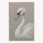 Curious White Swan Velvet Canvas Art