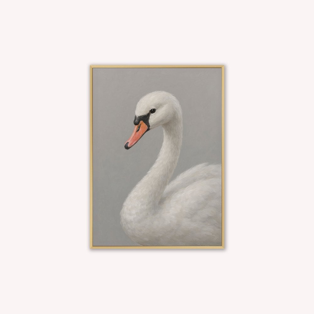 Curious White Swan Velvet Canvas Art