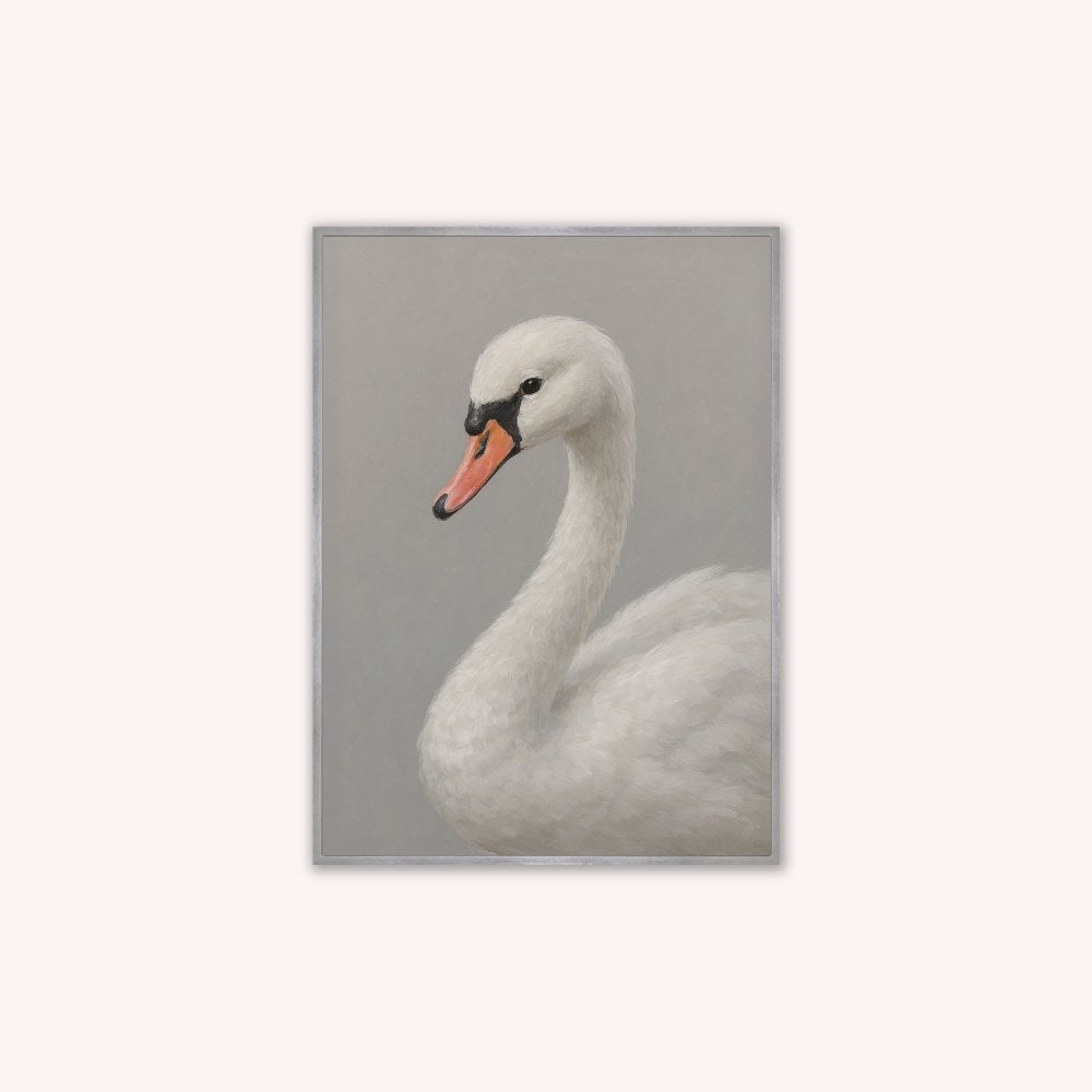 Curious White Swan Velvet Canvas Art
