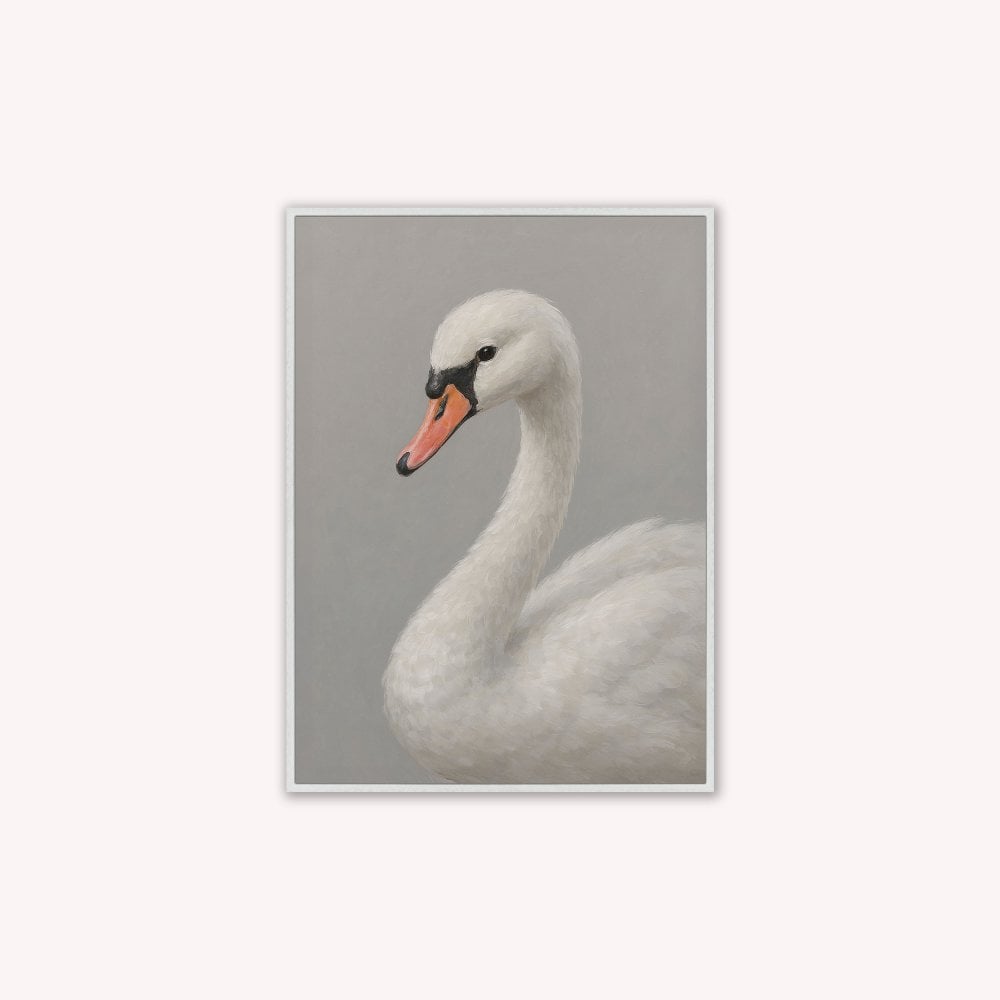 Curious White Swan Velvet Canvas Art