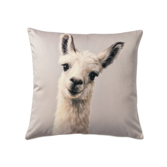 Curious Llama Velvet Cushion - 60 x 60