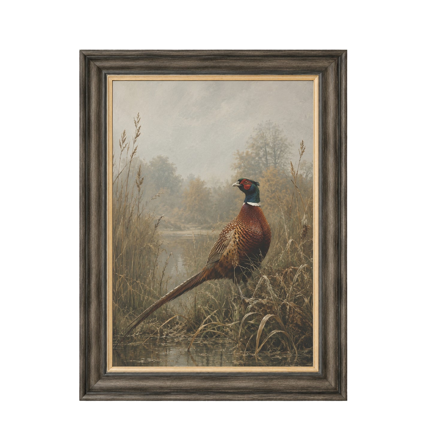 Moorland Pheasant Framed Wall Art