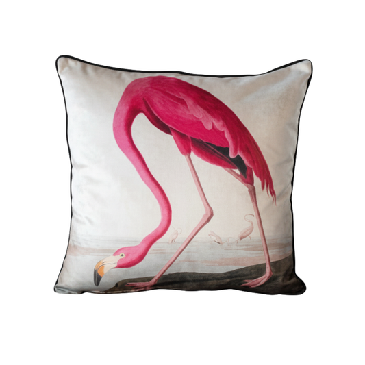 Vintage Birds - American Flamingo Velvet Cushion - 60 x 60