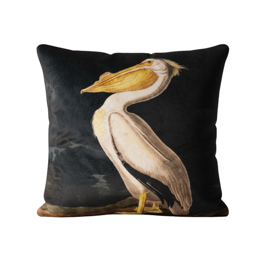Vintage Birds - White Pelican Velvet Cushion - 60 x 60