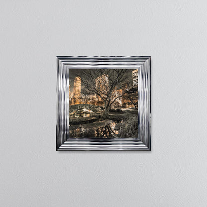 Central Park Framed Wall Art