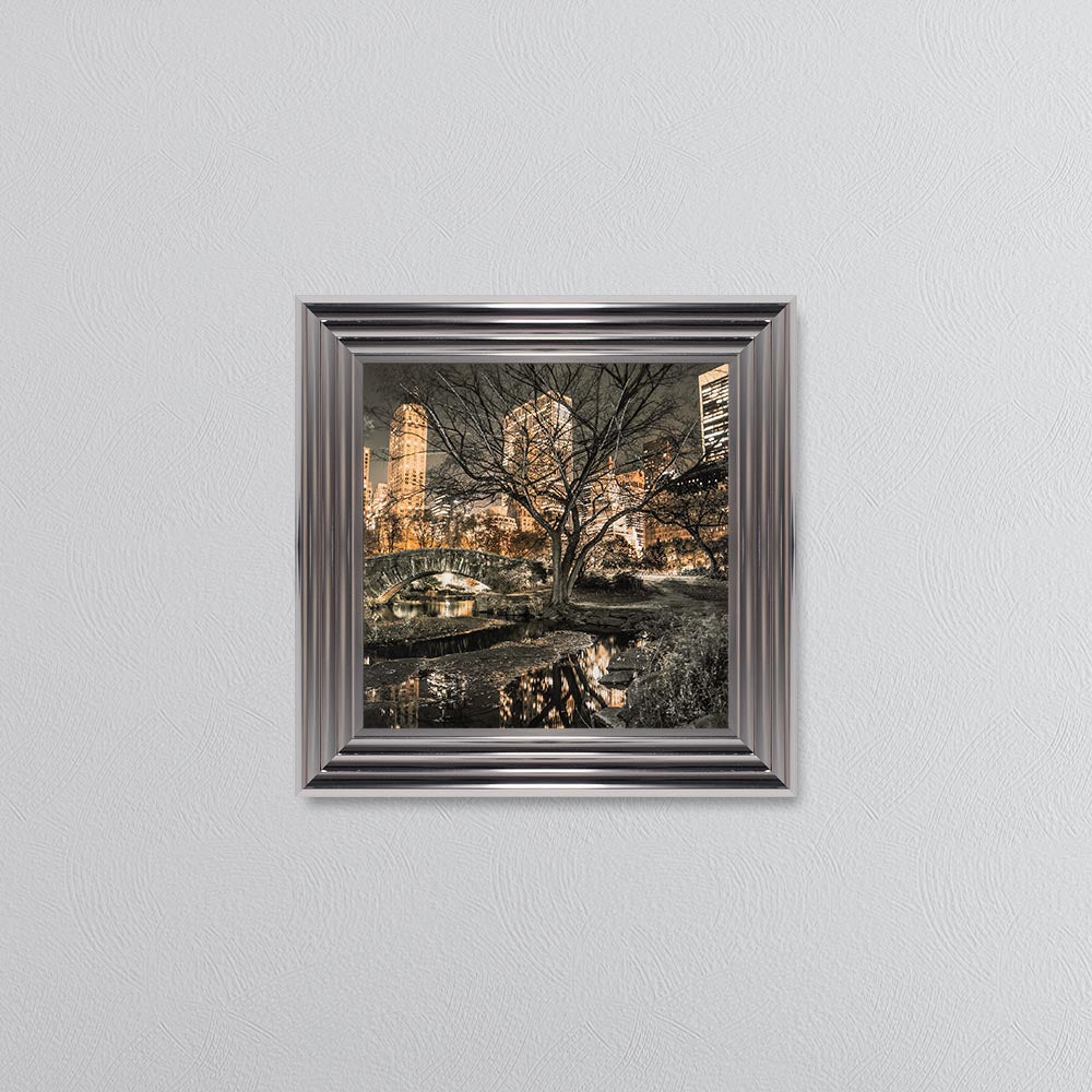 Central Park Framed Wall Art