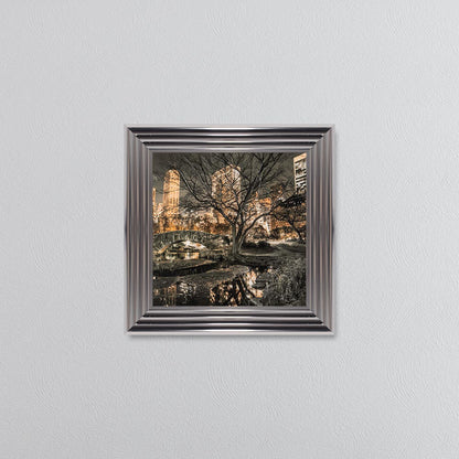 Central Park Framed Wall Art