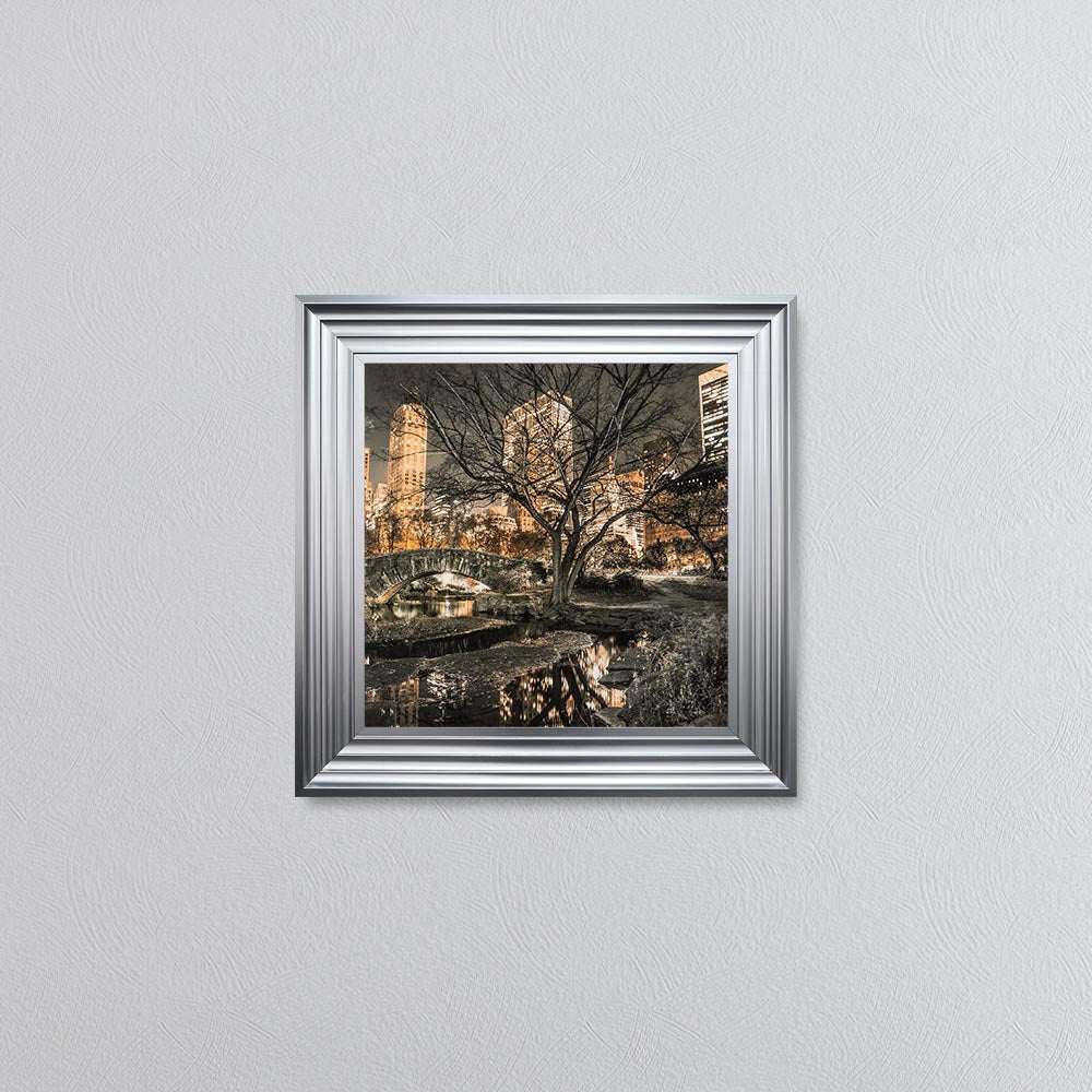 Central Park Framed Wall Art