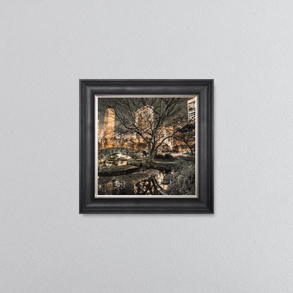 Central Park Framed Wall Art