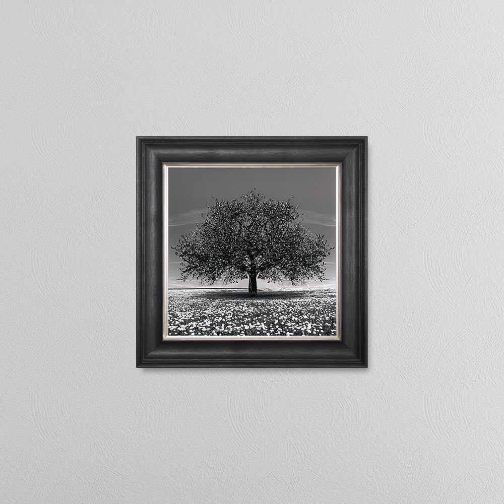 Black Cherry Tree Framed Wall Art