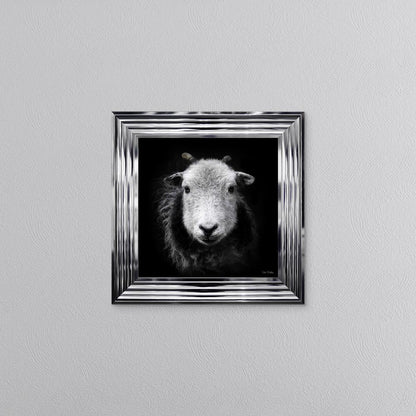 Sid The Sheep Framed Wall Art