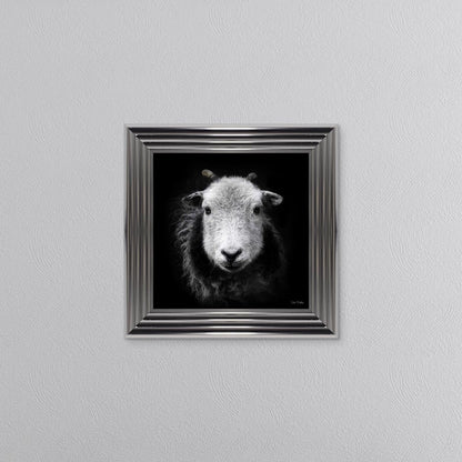 Sid The Sheep Framed Wall Art