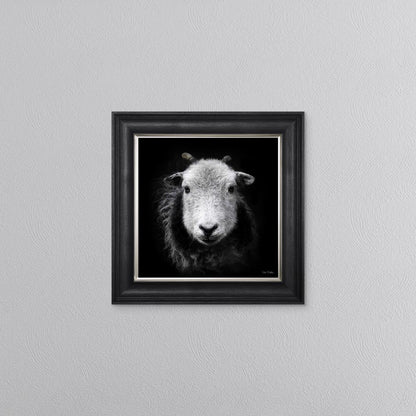 Sid The Sheep Framed Wall Art