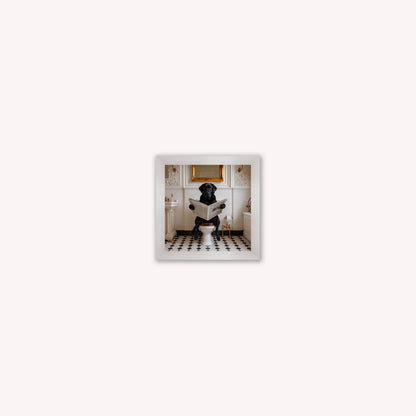 Dog on the Bog - Black Labrador Framed Wall Art