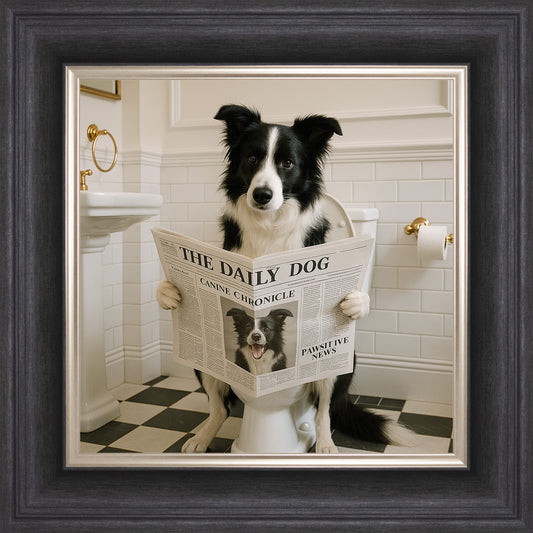 Dog on the Bog - Border Collie Framed Wall Art