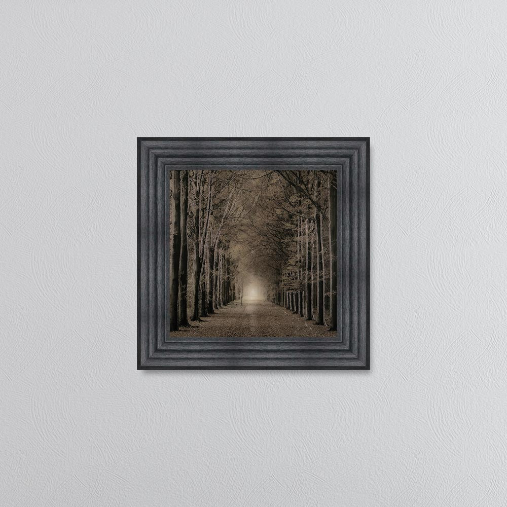 Woodland Path Framed Wall Art