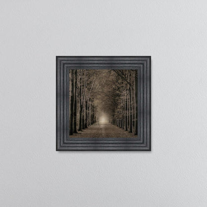 Woodland Path Framed Wall Art
