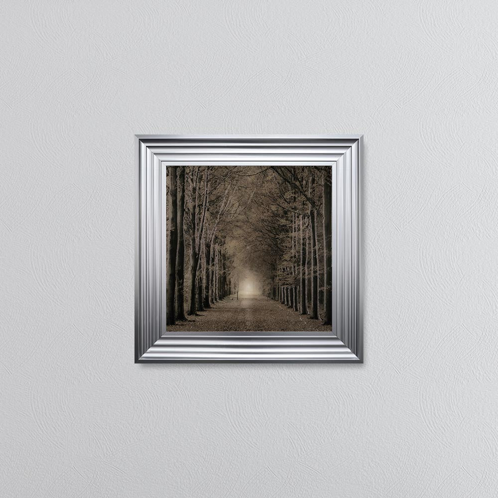 Woodland Path Framed Wall Art