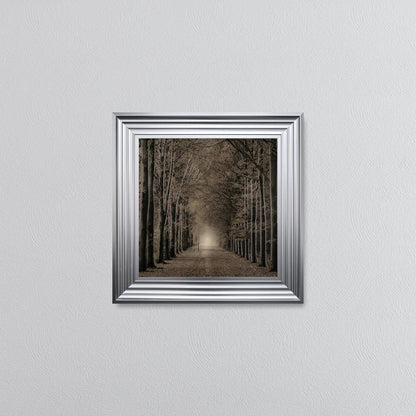 Woodland Path Framed Wall Art