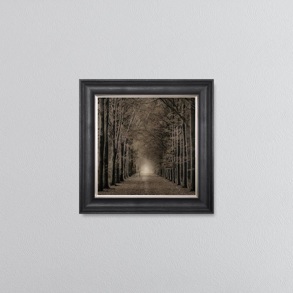 Woodland Path Framed Wall Art