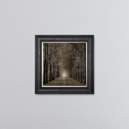 Woodland Path Framed Wall Art