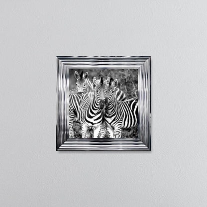 Zebras In The Wild Framed Wall Art