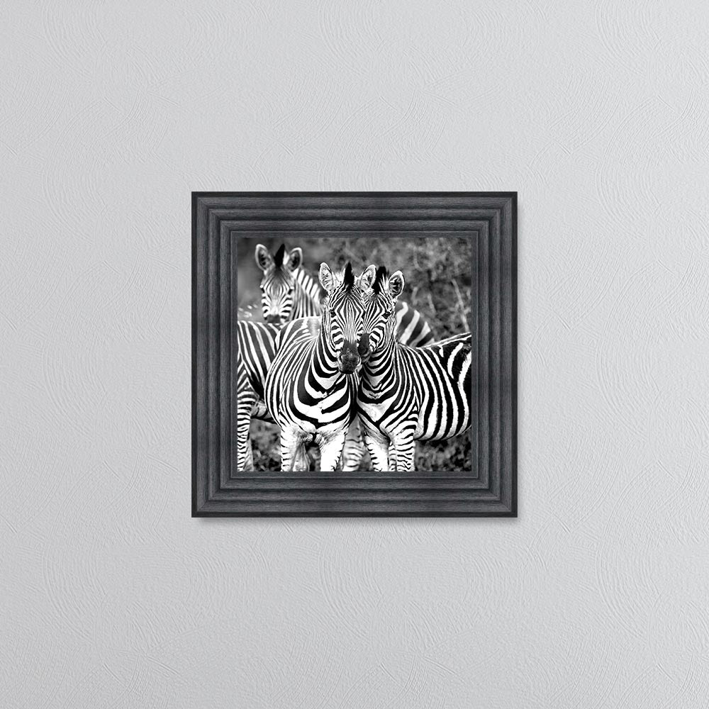 Zebras In The Wild Framed Wall Art