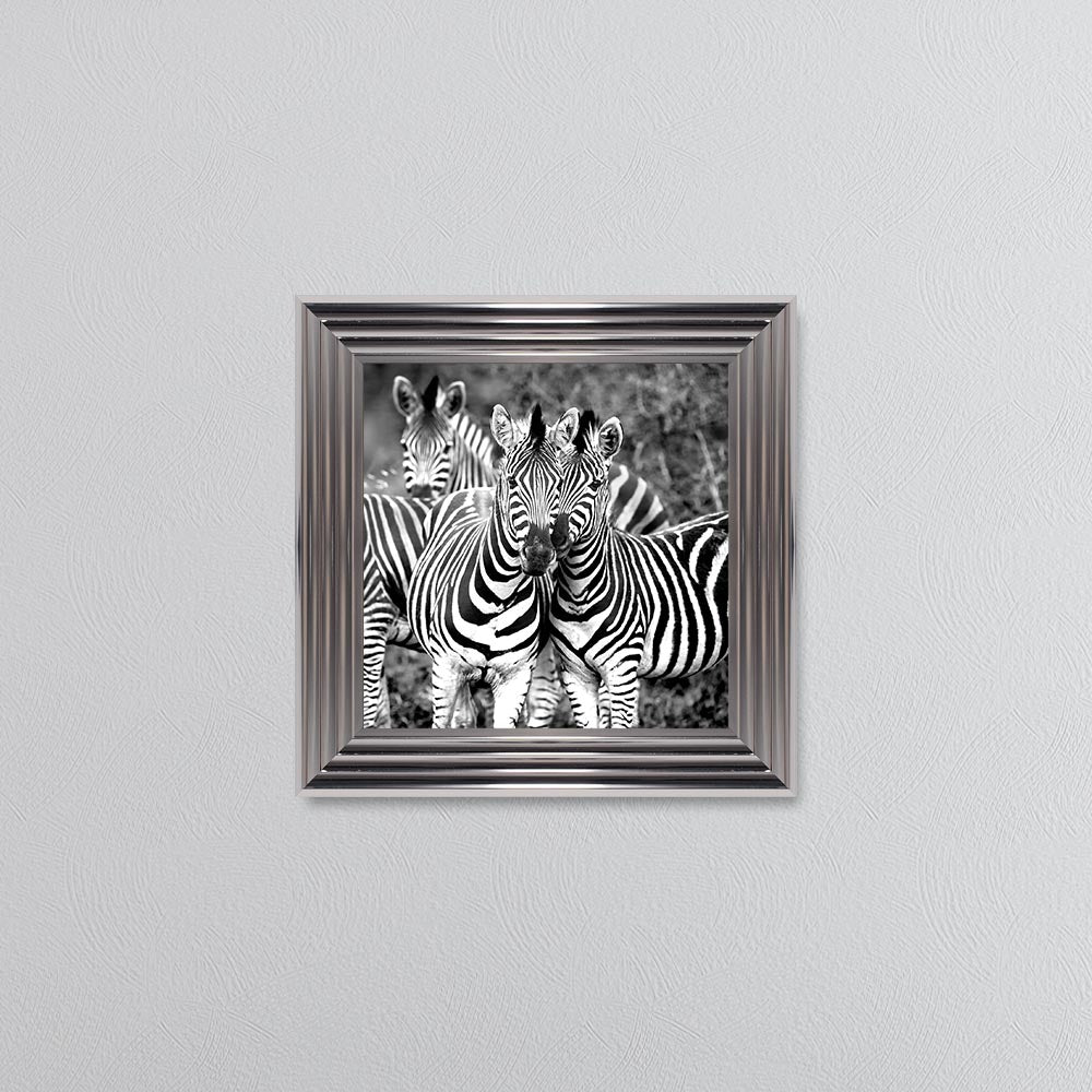 Zebras In The Wild Framed Wall Art
