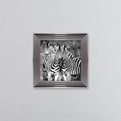 Zebras In The Wild Framed Wall Art