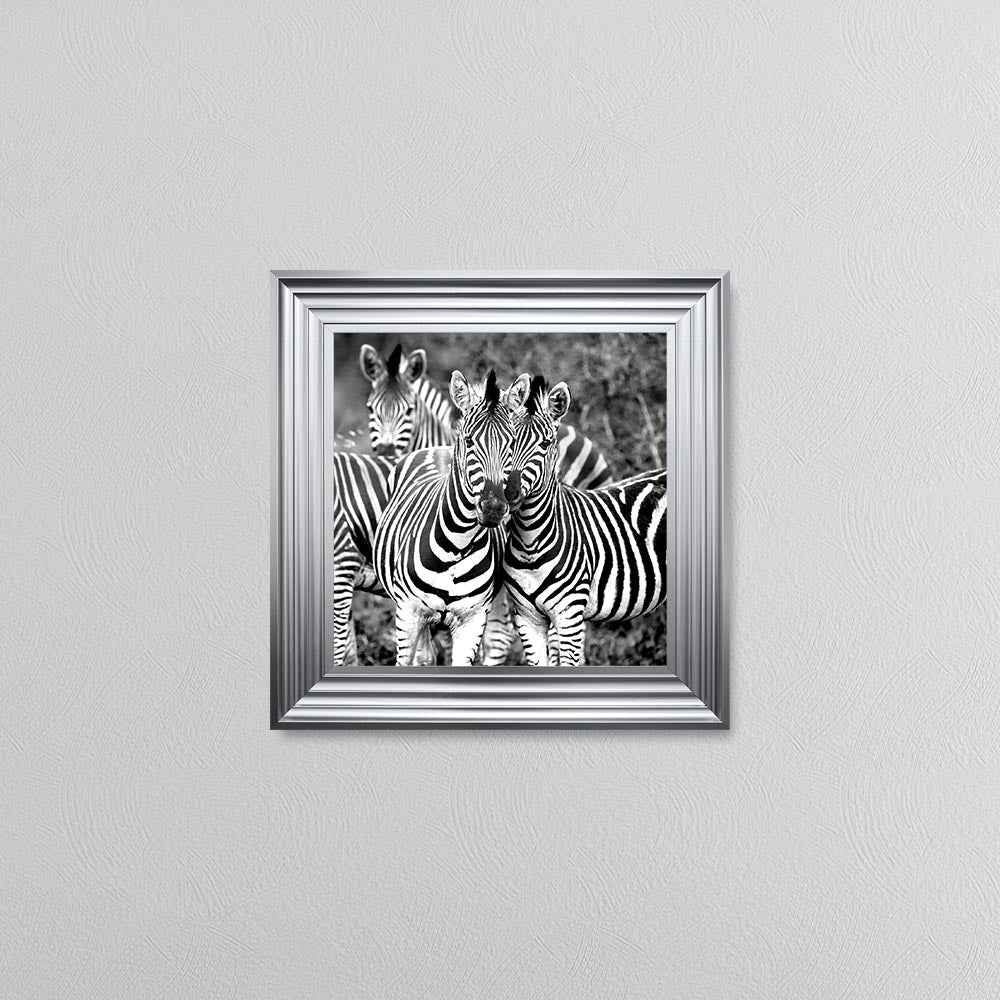 Zebras In The Wild Framed Wall Art