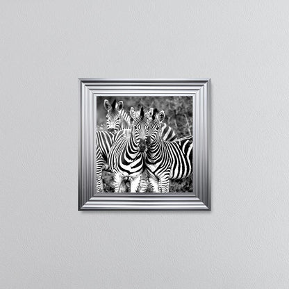 Zebras In The Wild Framed Wall Art