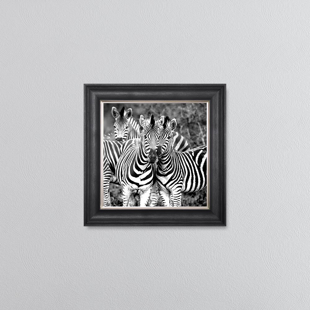Zebras In The Wild Framed Wall Art