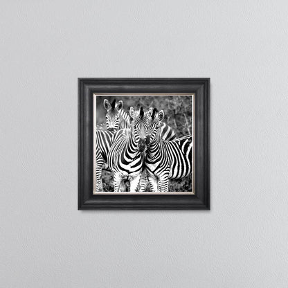 Zebras In The Wild Framed Wall Art